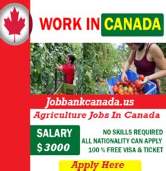 jobbankcanada.com|job bank canada pagina oficial.